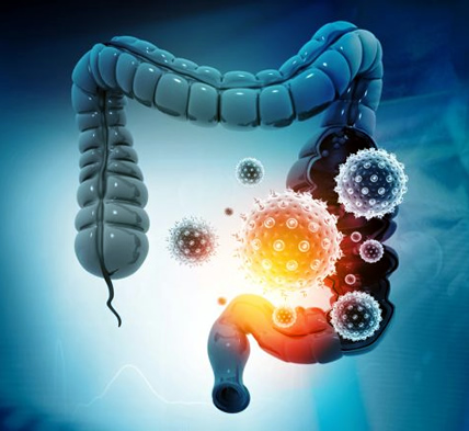 Evidence-based nutrition guidance for obesity and gut health.
